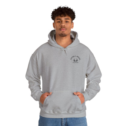 Titties & Holes Hoodie